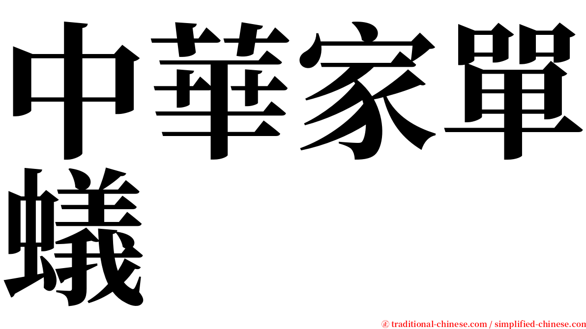 中華家單蟻 serif font