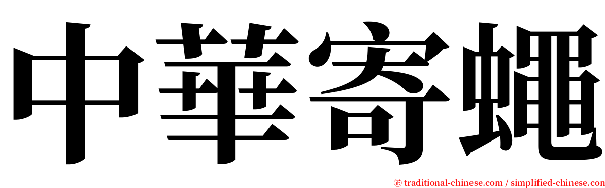 中華寄蠅 serif font