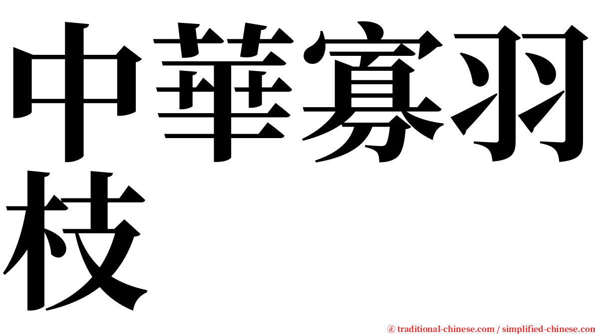 中華寡羽枝 serif font