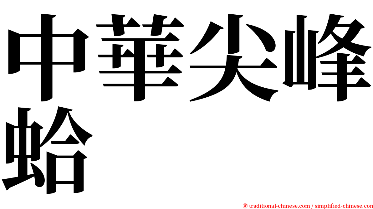 中華尖峰蛤 serif font