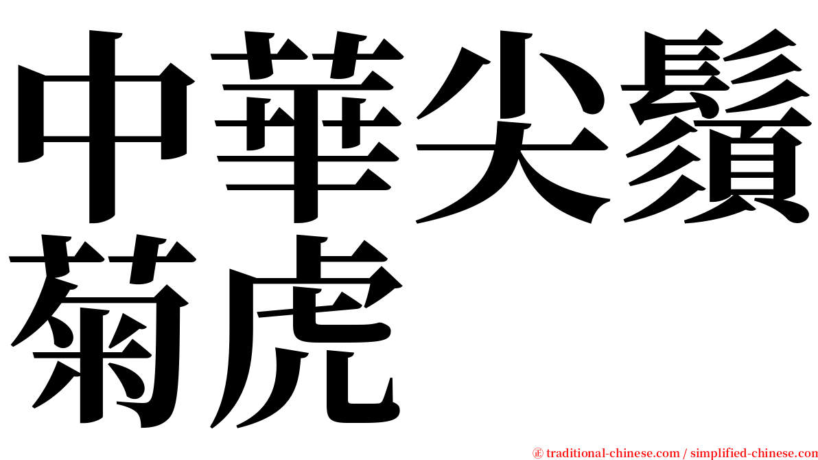 中華尖鬚菊虎 serif font