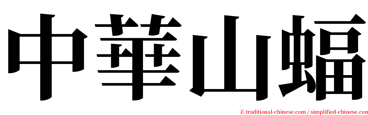 中華山蝠 serif font