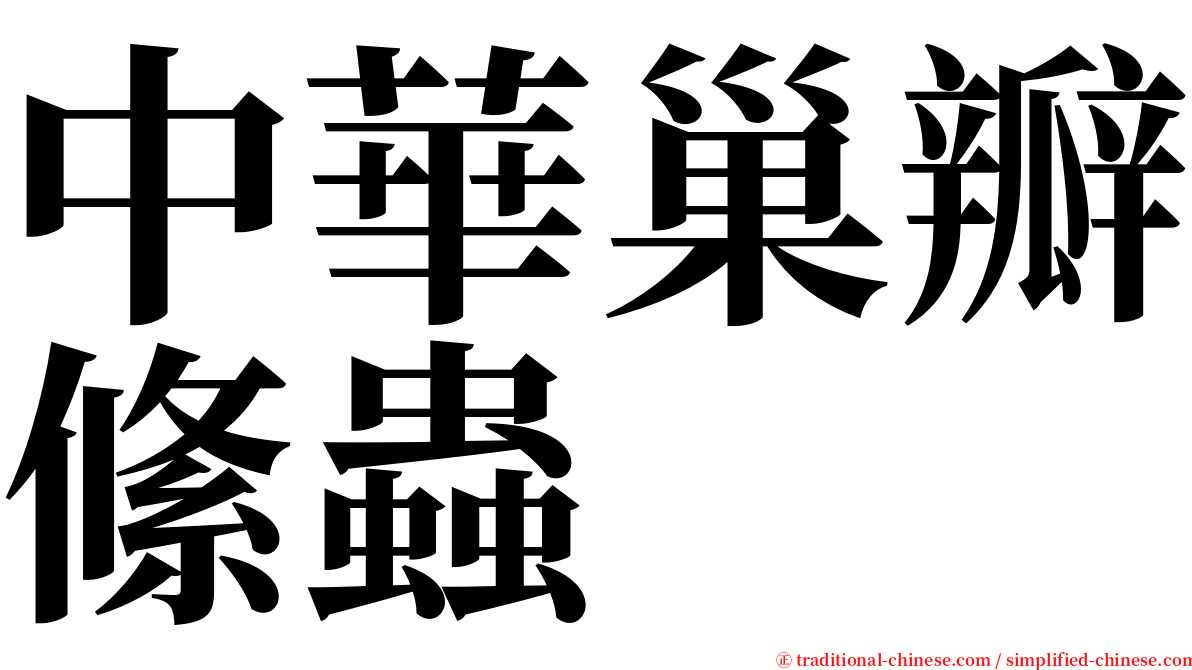 中華巢瓣絛蟲 serif font