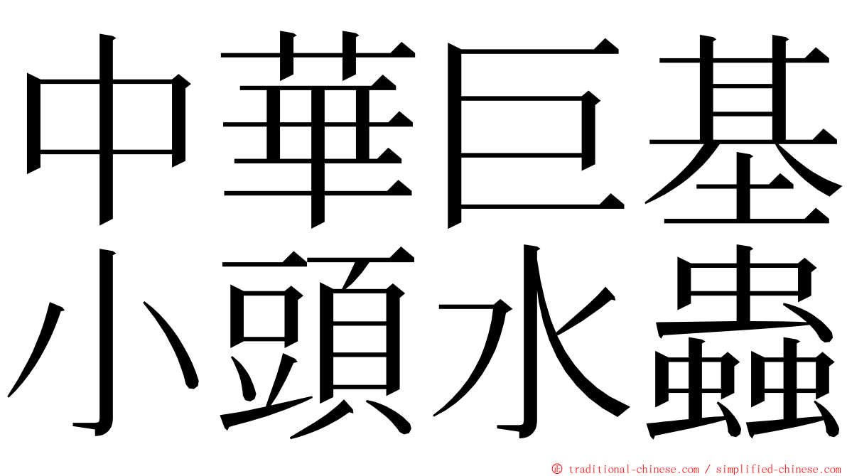 中華巨基小頭水蟲 ming font