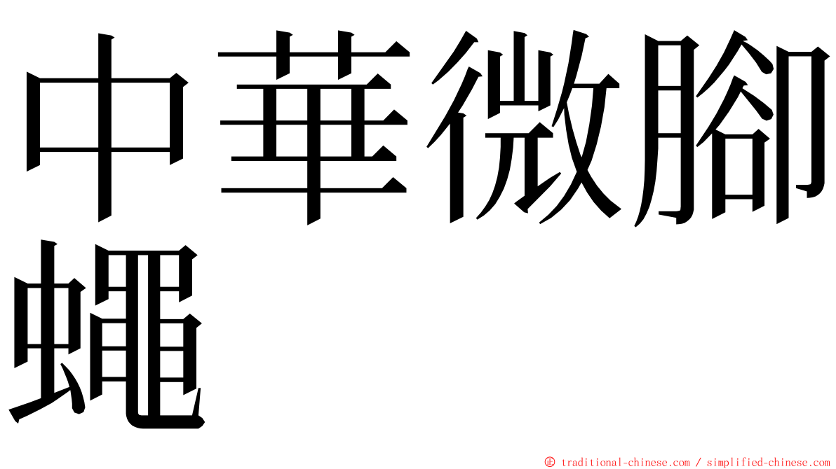 中華微腳蠅 ming font