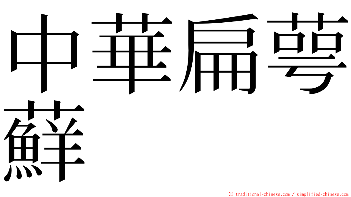 中華扁萼蘚 ming font