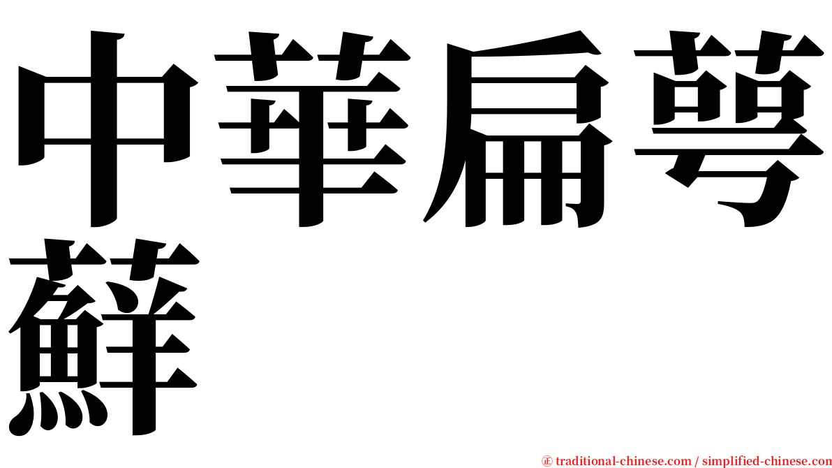 中華扁萼蘚 serif font