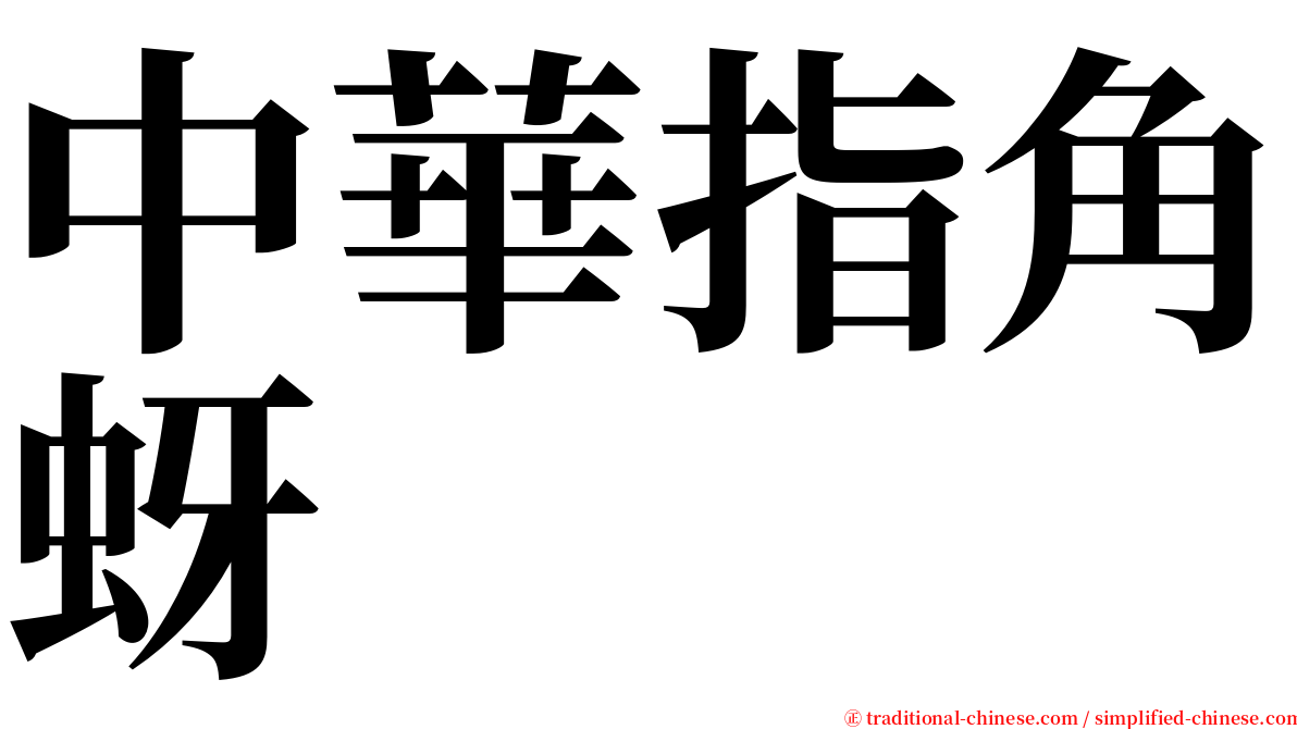 中華指角蚜 serif font