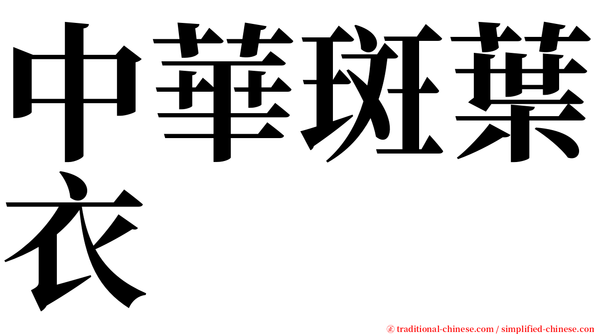 中華斑葉衣 serif font