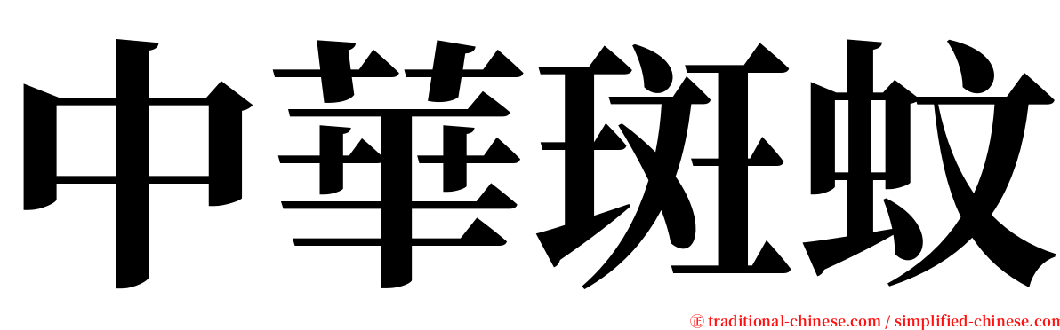 中華斑蚊 serif font