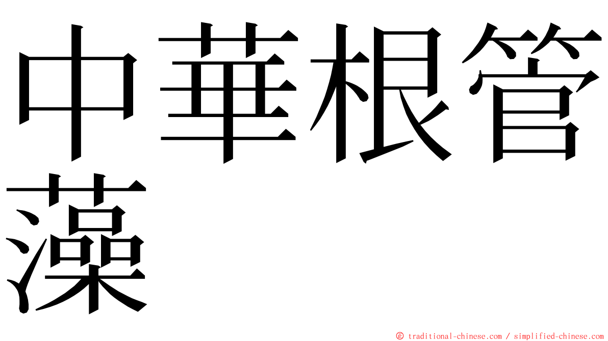 中華根管藻 ming font