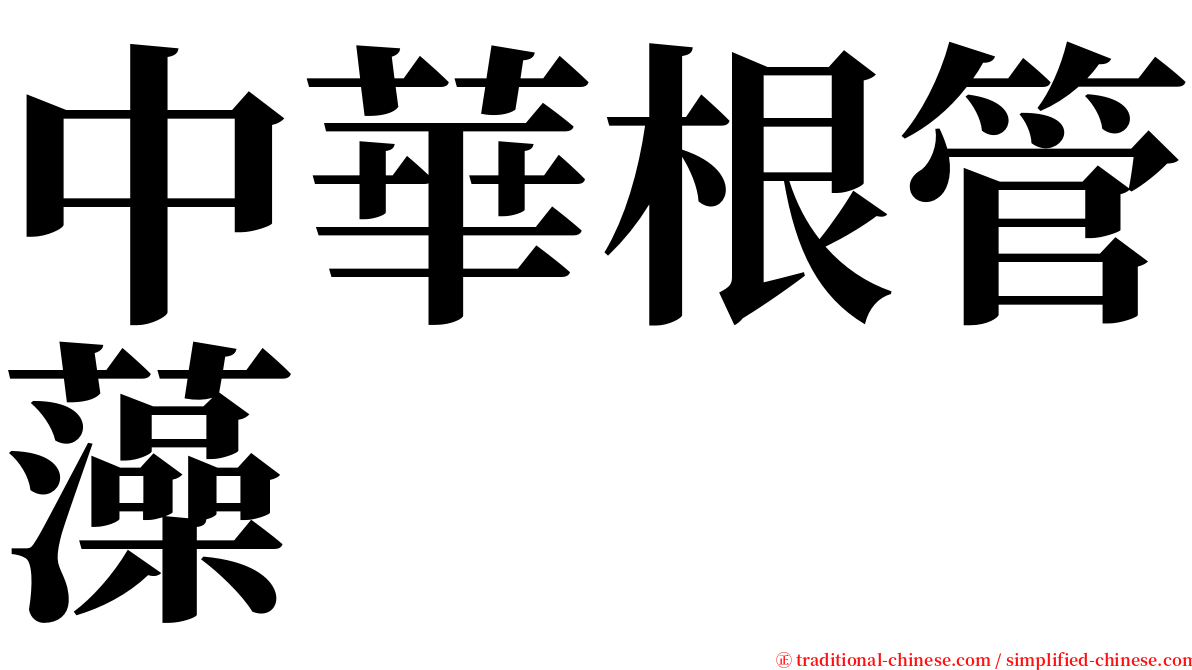 中華根管藻 serif font