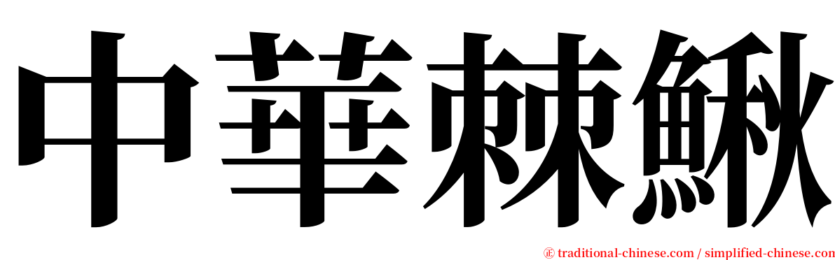 中華棘鰍 serif font