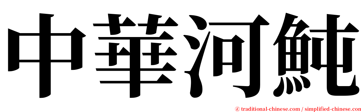 中華河魨 serif font