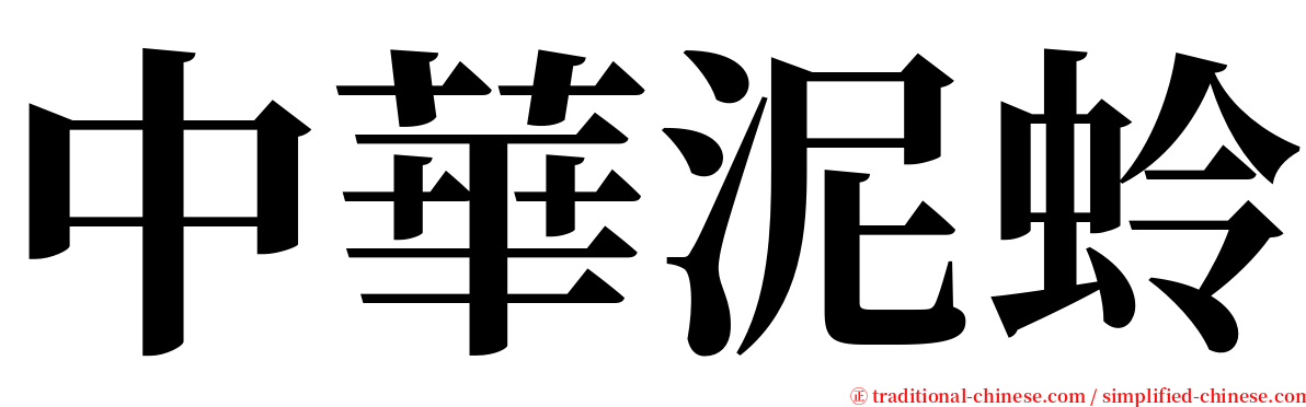 中華泥蛉 serif font