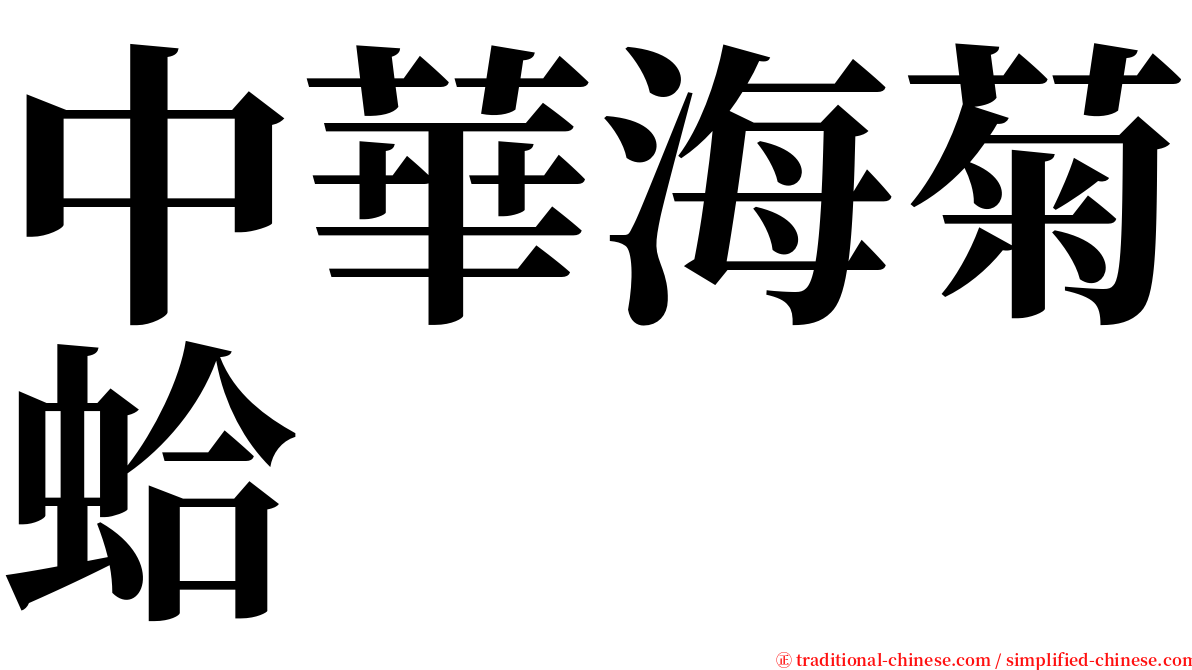 中華海菊蛤 serif font