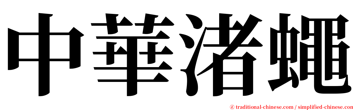 中華渚蠅 serif font