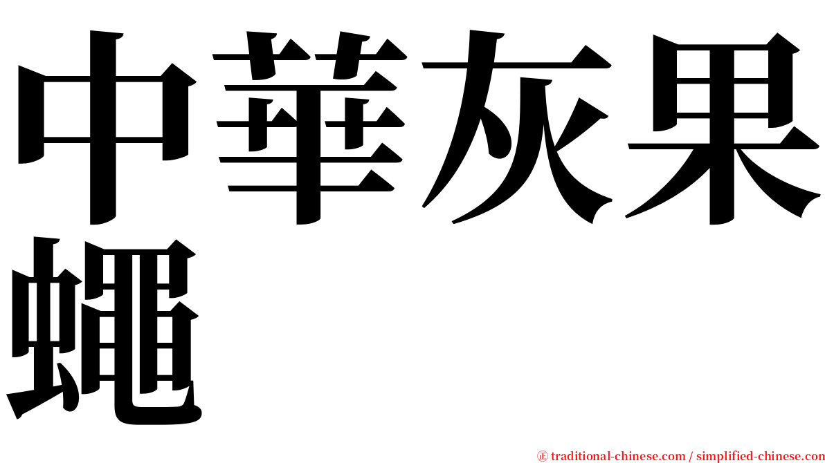 中華灰果蠅 serif font