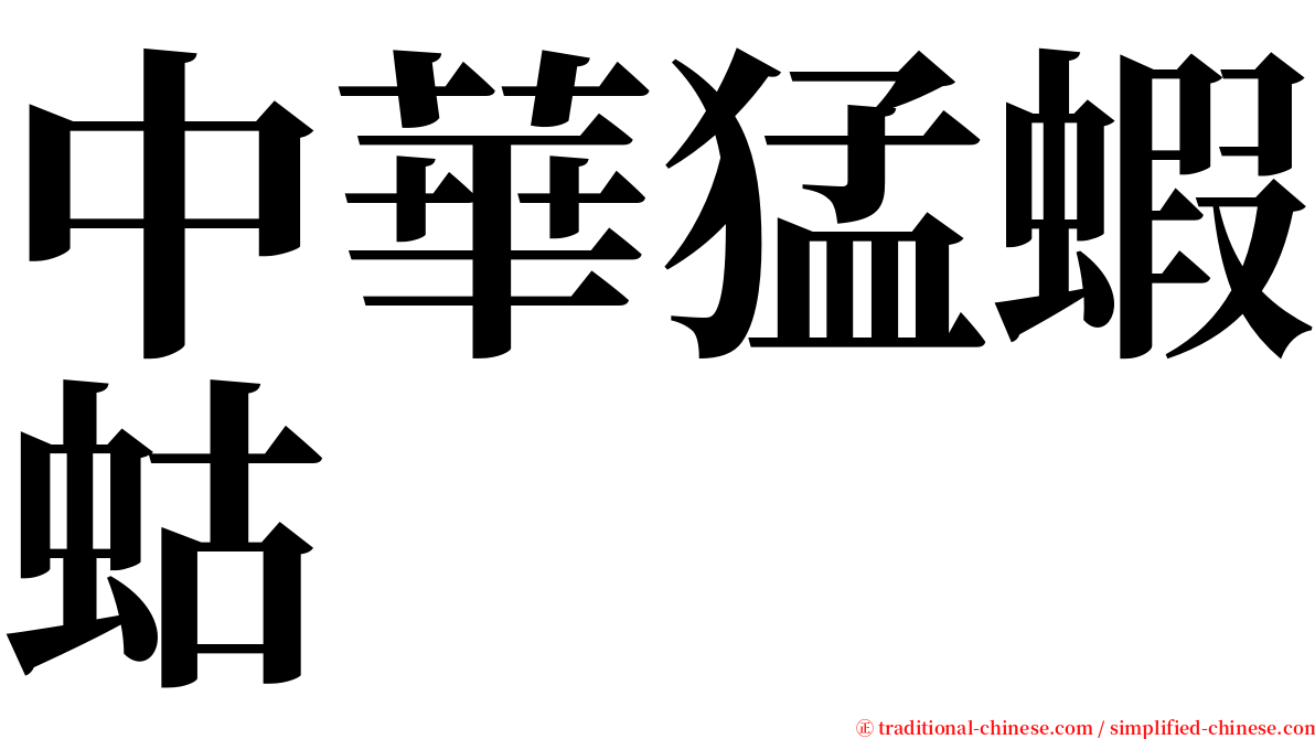 中華猛蝦蛄 serif font