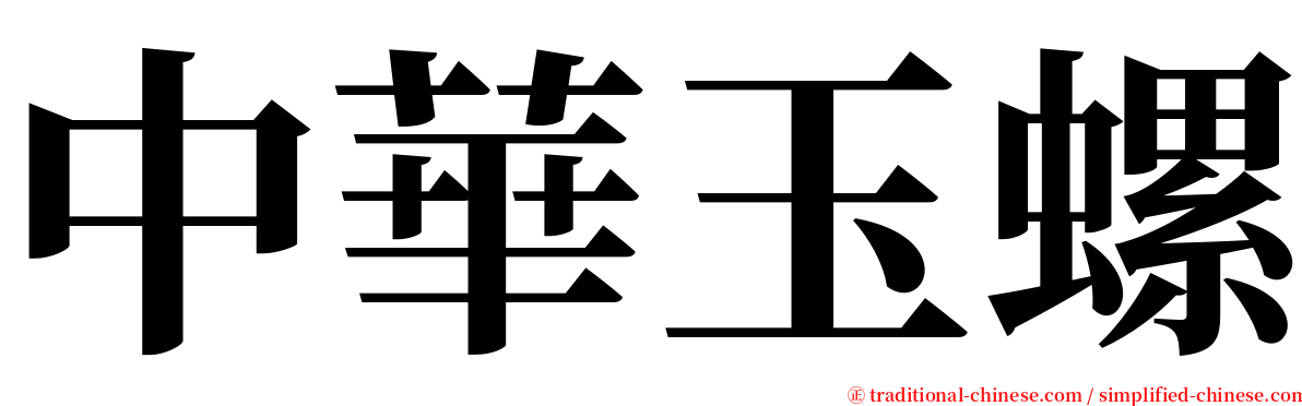 中華玉螺 serif font