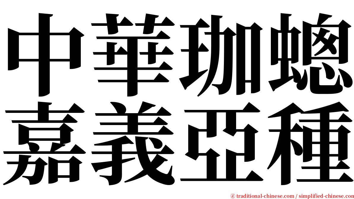 中華珈蟌嘉義亞種 serif font