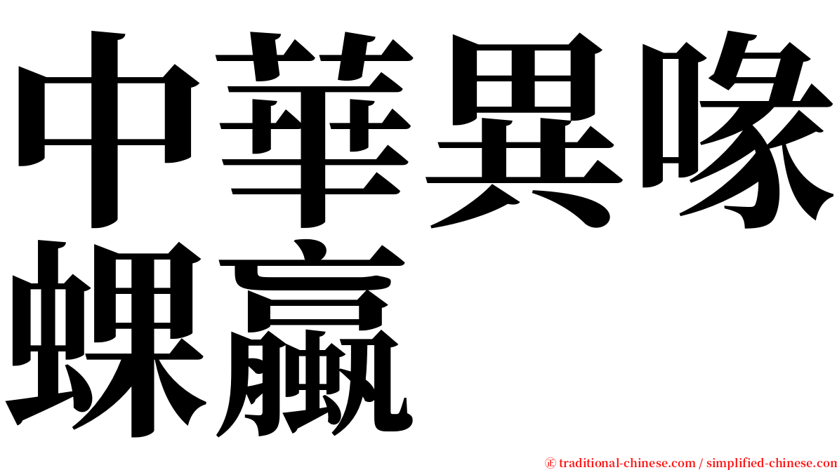 中華異喙蜾蠃 serif font