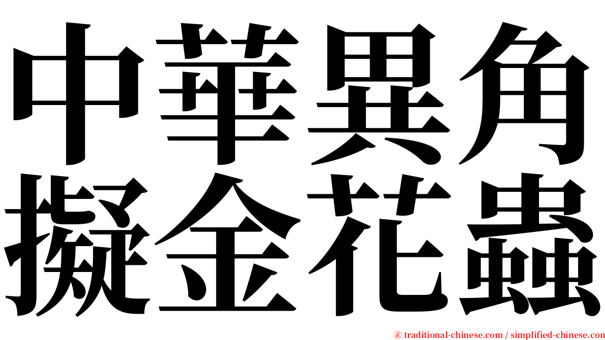中華異角擬金花蟲 serif font