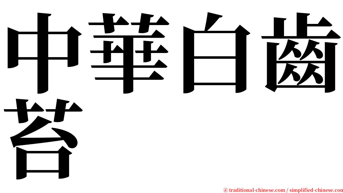 中華白齒苔 serif font