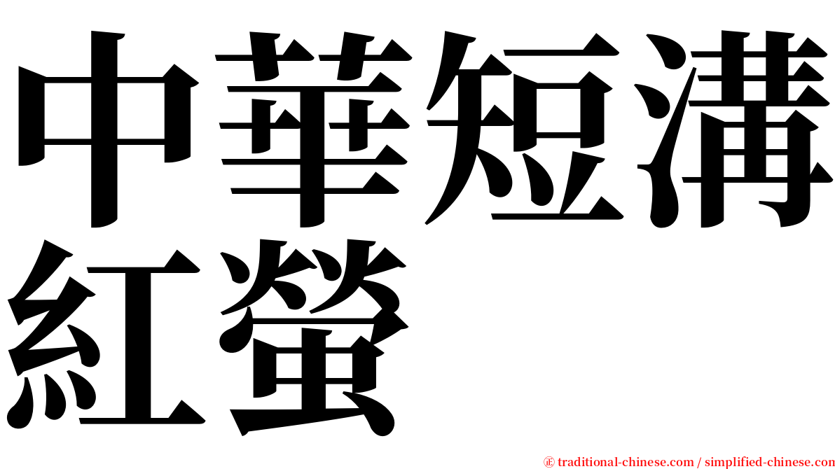 中華短溝紅螢 serif font