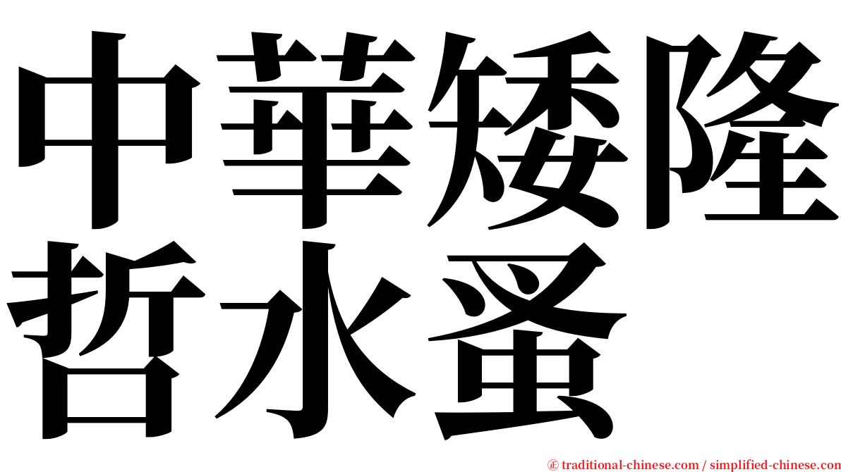 中華矮隆哲水蚤 serif font