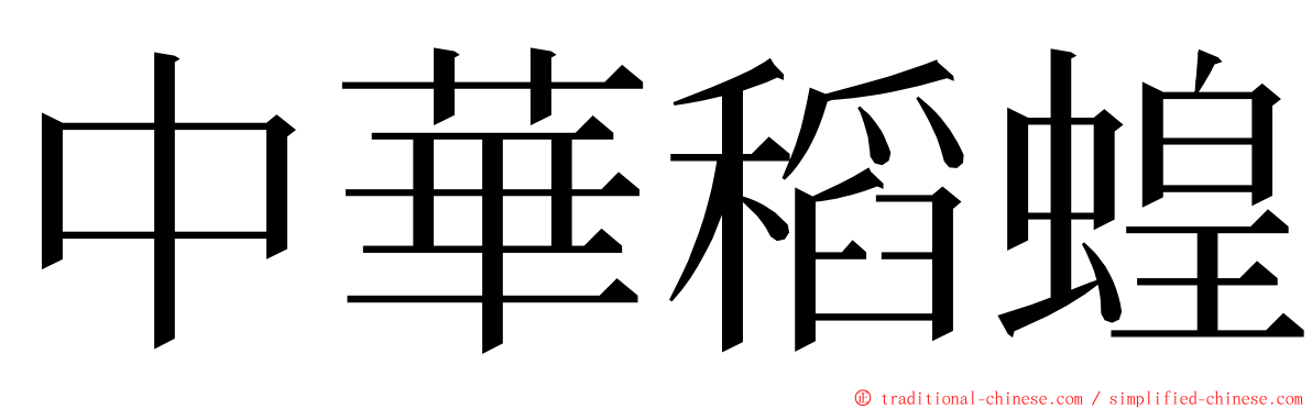 中華稻蝗 ming font