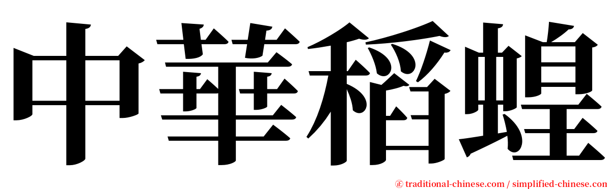 中華稻蝗 serif font