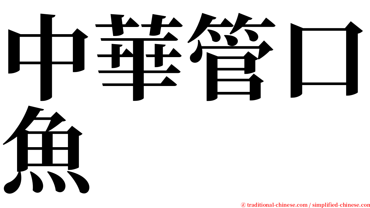 中華管口魚 serif font