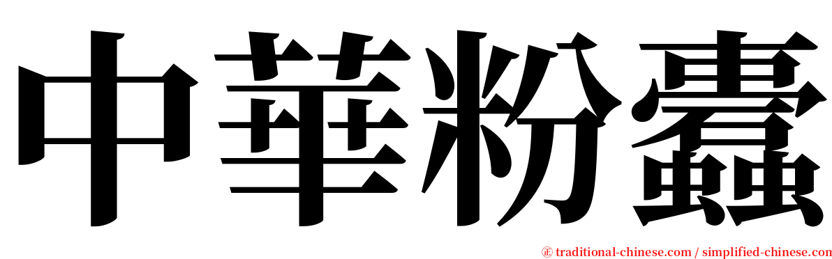 中華粉蠹 serif font