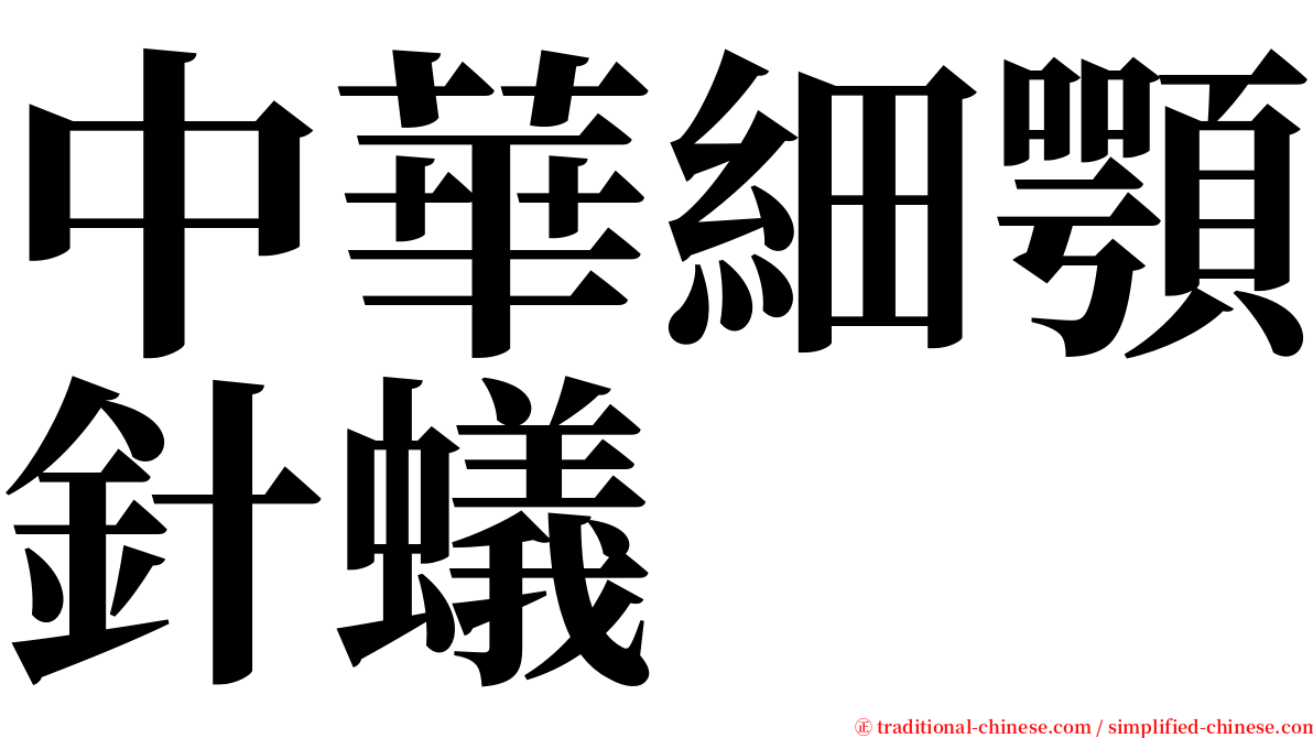 中華細顎針蟻 serif font