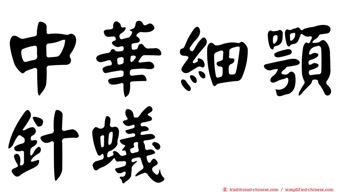 中華細顎針蟻