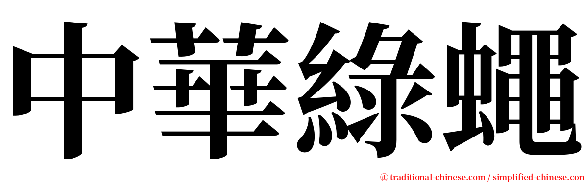 中華綠蠅 serif font