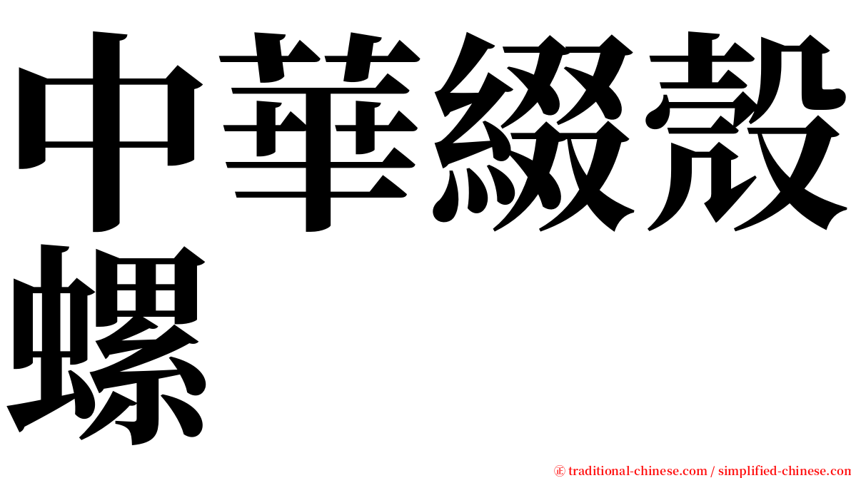 中華綴殼螺 serif font