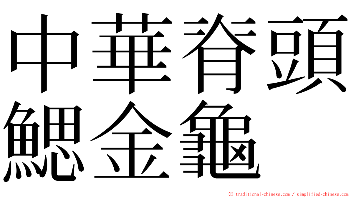 中華脊頭鰓金龜 ming font