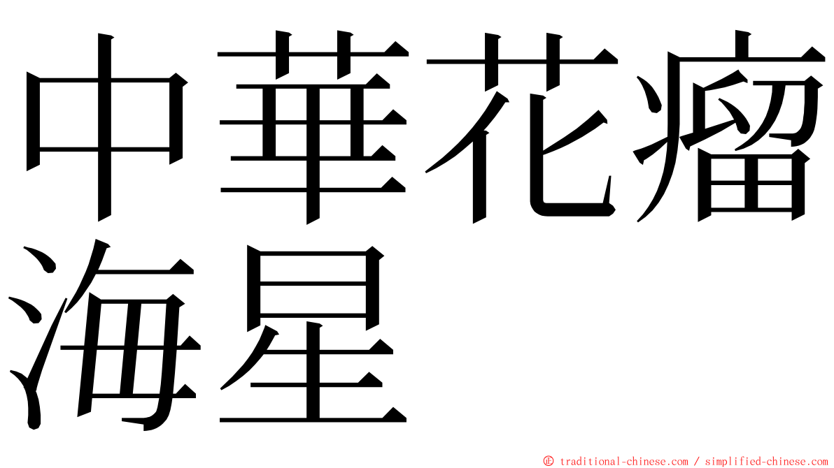 中華花瘤海星 ming font