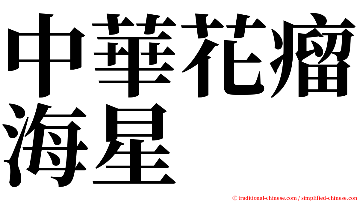 中華花瘤海星 serif font