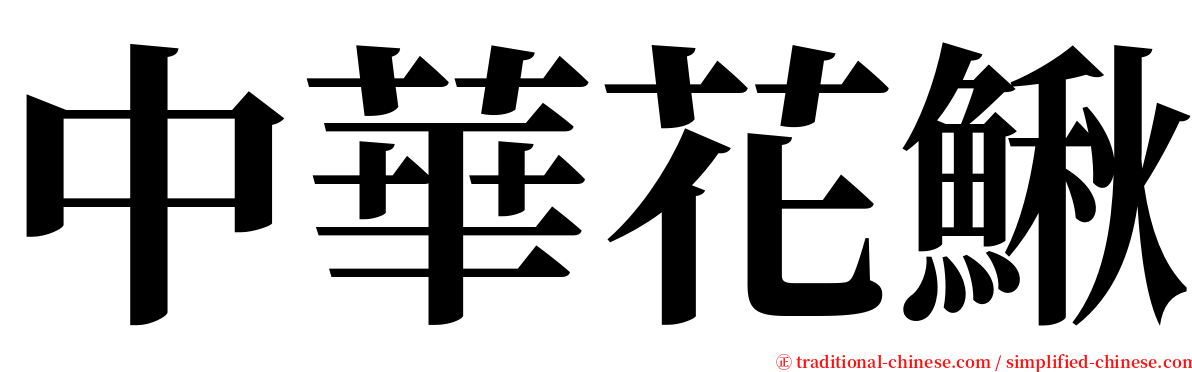 中華花鰍 serif font