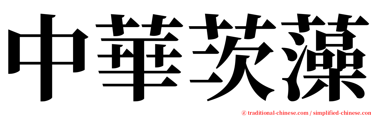 中華茨藻 serif font
