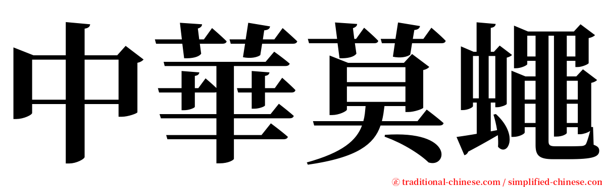 中華莫蠅 serif font