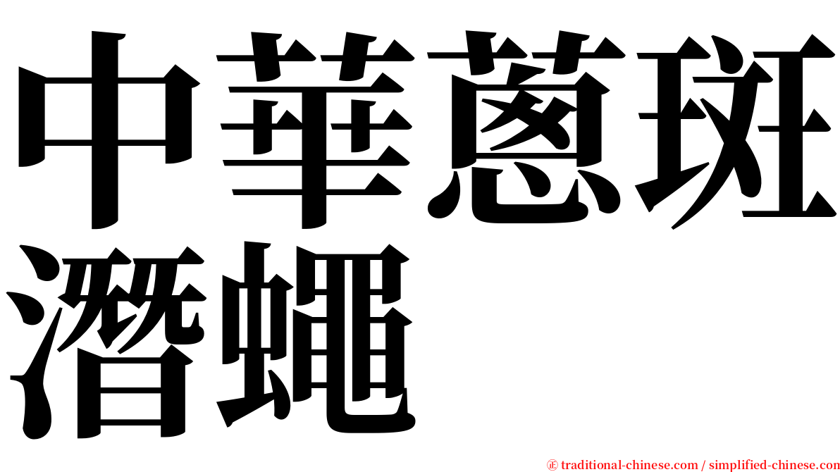 中華蔥斑潛蠅 serif font
