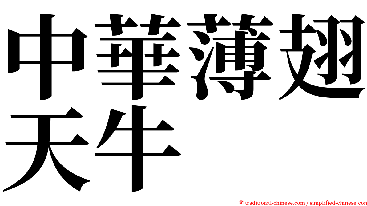 中華薄翅天牛 serif font