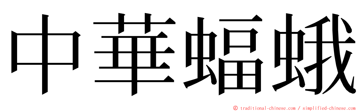 中華蝠蛾 ming font