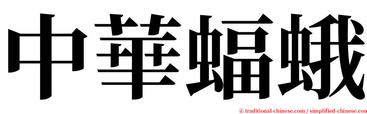 中華蝠蛾 serif font