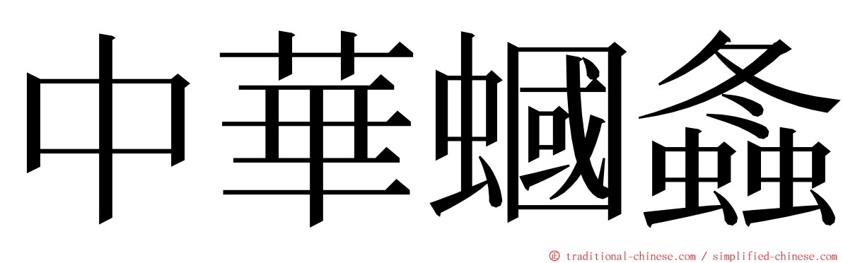 中華蟈螽 ming font