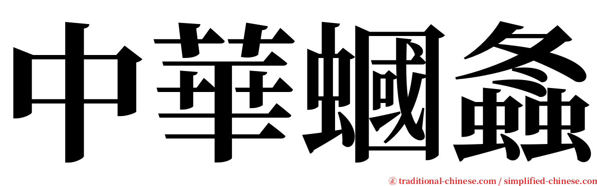 中華蟈螽 serif font